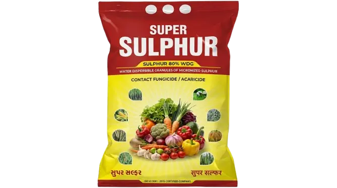 Premium Agricultural Solutions for Healthier Crops